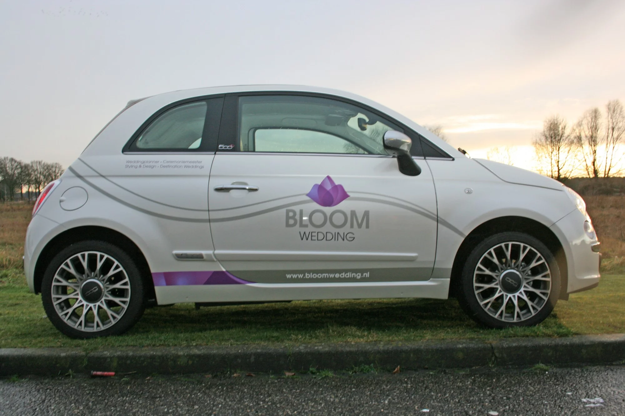 Bloom Wedding